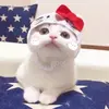 urse654356758890 - @lanyi005 - TikTok