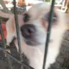 𝘓𝘢𝘯𝘺𝘰𝘶𝘯𝘨 🐑 - @hnal.anh_ - TikTok