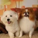 Yuen Lan Lau - @lauyuenlan - Instagram