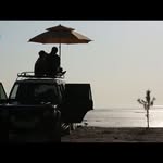 Lan Zeng - @lanzeng0723 - Instagram