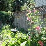 Lana Baugh - Facebook