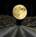 Lana Benoit - Facebook