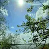 Лана Циберман - @lana_ziberman - TikTok
