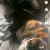 Lana🦧🍈 - @lana.bodecot - TikTok