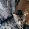 lana_Box😘🤭 - @lana_box2 - TikTok