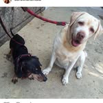 Lana & Bruce - @lanaebruce - Instagram
