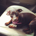 Lana Brunner - @bluemarble777 - Instagram