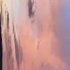 Lana - @lana.clements - TikTok