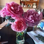 Lana Coates - @coates5453 - Instagram