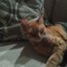 Laney Cradduck - Facebook