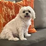 Lana Dial Pattillo - @lana.dial - Instagram