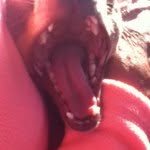 Lana Dotson - @uglyperson247 - Instagram