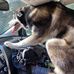 Lana Sawatzky Eckert - Facebook