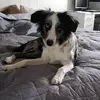 Swetlana Eckert - @swetlanaeckert - TikTok