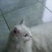 Eddy Lana - Facebook