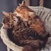 Lana & Teddy - @lana.and.teddy - TikTok