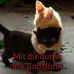 Lena Ehrlich - Facebook