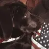 elana.eldridge - @elana.eldridge - TikTok