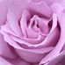 Lana Eldridge - Facebook