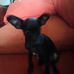 Leiona Epstein - Facebook