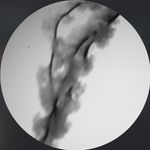 Lana Graff - @graff23_ - Instagram