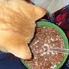 🤭🤍 - @lanagraham_0 - TikTok