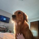 Lana Graves - @lgraves711 - Instagram