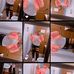 Lanaya Graves - Facebook