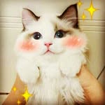 @_l.a.n.a_k.e.y_ - Instagram