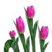 Lana Malhas - Facebook