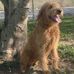 Lana Murray - Facebook