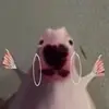 Lana Ortiz - @lanaaortiz - TikTok
