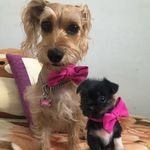 Perry&Lana - @perry_lana_ - Instagram