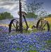 Lana Powell - Facebook