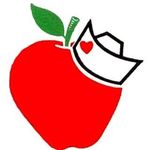 Lana Schaefer, RN, BSN, NCSN - @obschoolnurse - Instagram