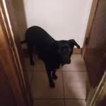 Lana Shaffer - @lks50000 - Instagram