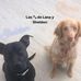 Las huellas de Lana y Sheldon - Facebook