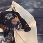 Lana - @lana.small.face - Instagram