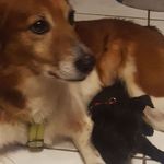 Lana Stein - @lana.stein.710 - Instagram