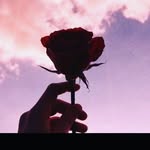 Lana violet - @lanaviolet66 - Instagram