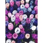 Lana_Violet🍀 - @lana_violet_0220 - Instagram