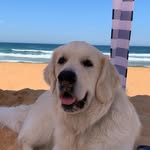 ~Lana Weeks - @lanaweeks13 - Instagram
