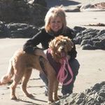 Lana Sheffield Werner - @sheffieldwerner - Instagram