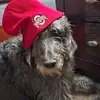 lanayates11 - @lanayates11 - TikTok