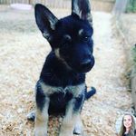 Lanae Brown - @lanaebrown6265 - Instagram