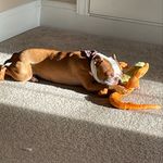 Penny Lane Abercrombie - @pennylane_abercrombie - Instagram