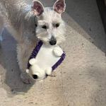 Lance Abney - @lanceabney - Instagram