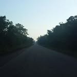 Holles - @lance.adams302409gmail.com_ - Instagram