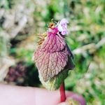 lance - @lancealdridgephotography - Instagram