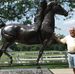 Lance Allard - Facebook